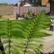 http://www.designedgardens.co.uk/WP/wp-content/uploads/2011/07/slide9.jpg