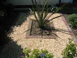 low maintenance with centre piece to create interest